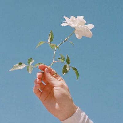 果盘永恒世界变态版下载